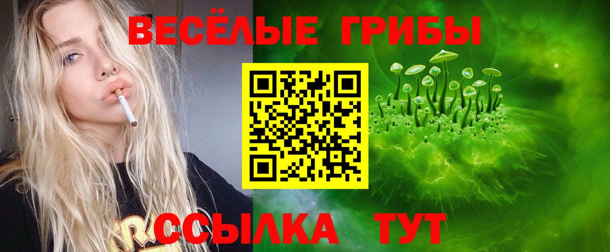Галлюциногенные грибы Александров