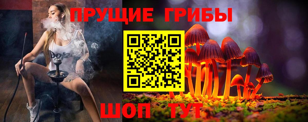 Псилоцибиновые грибы Cubensis  Галлюциногенные грибы Cubensis  Александров  Вход с VPN 